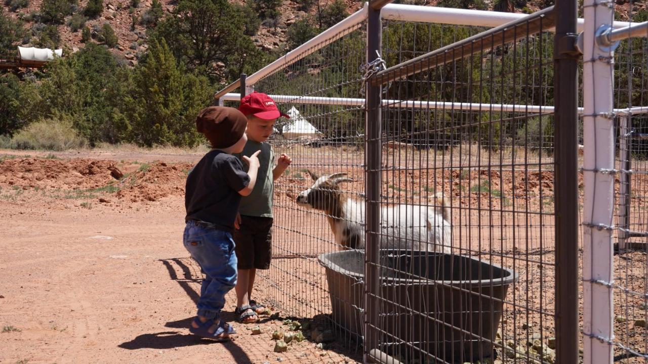 Zion View Camping Hildale Exterior foto